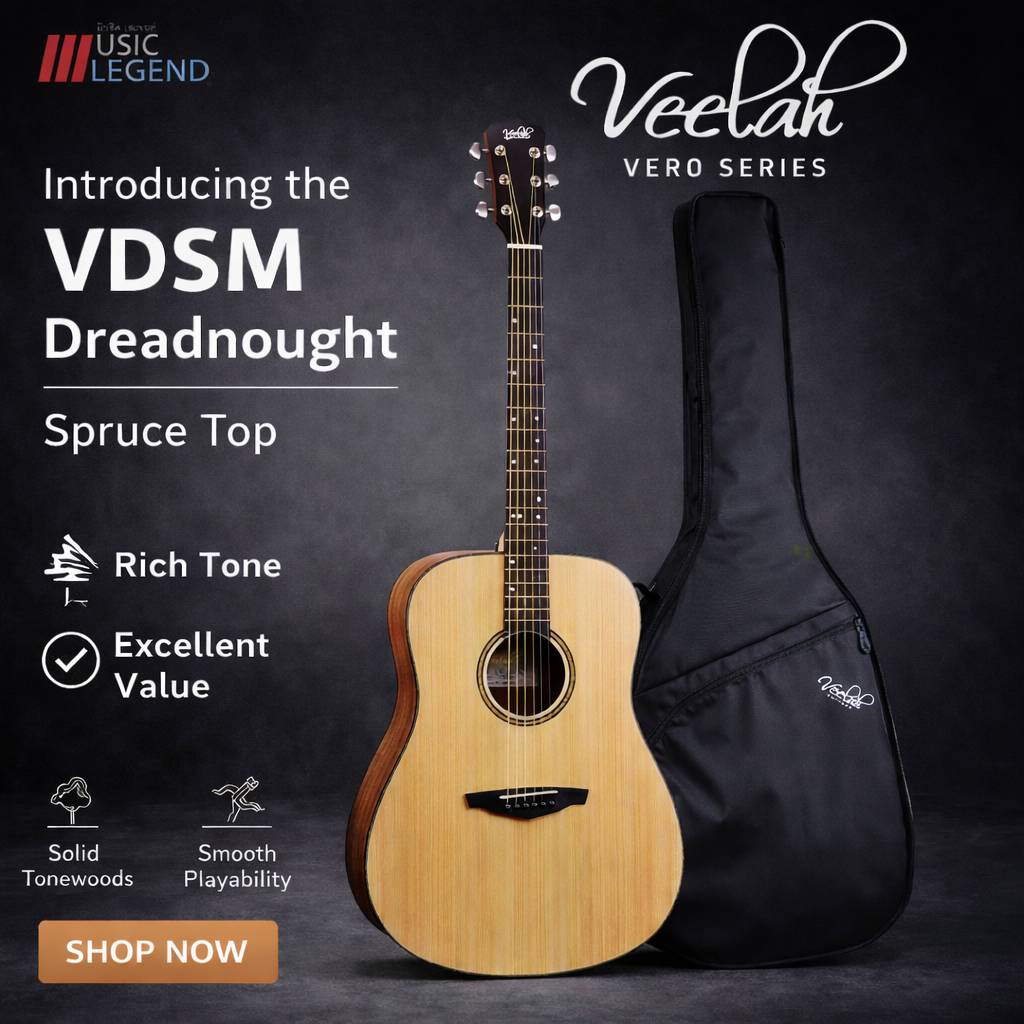 กีต้าร์โปร่ง veelah VDSM