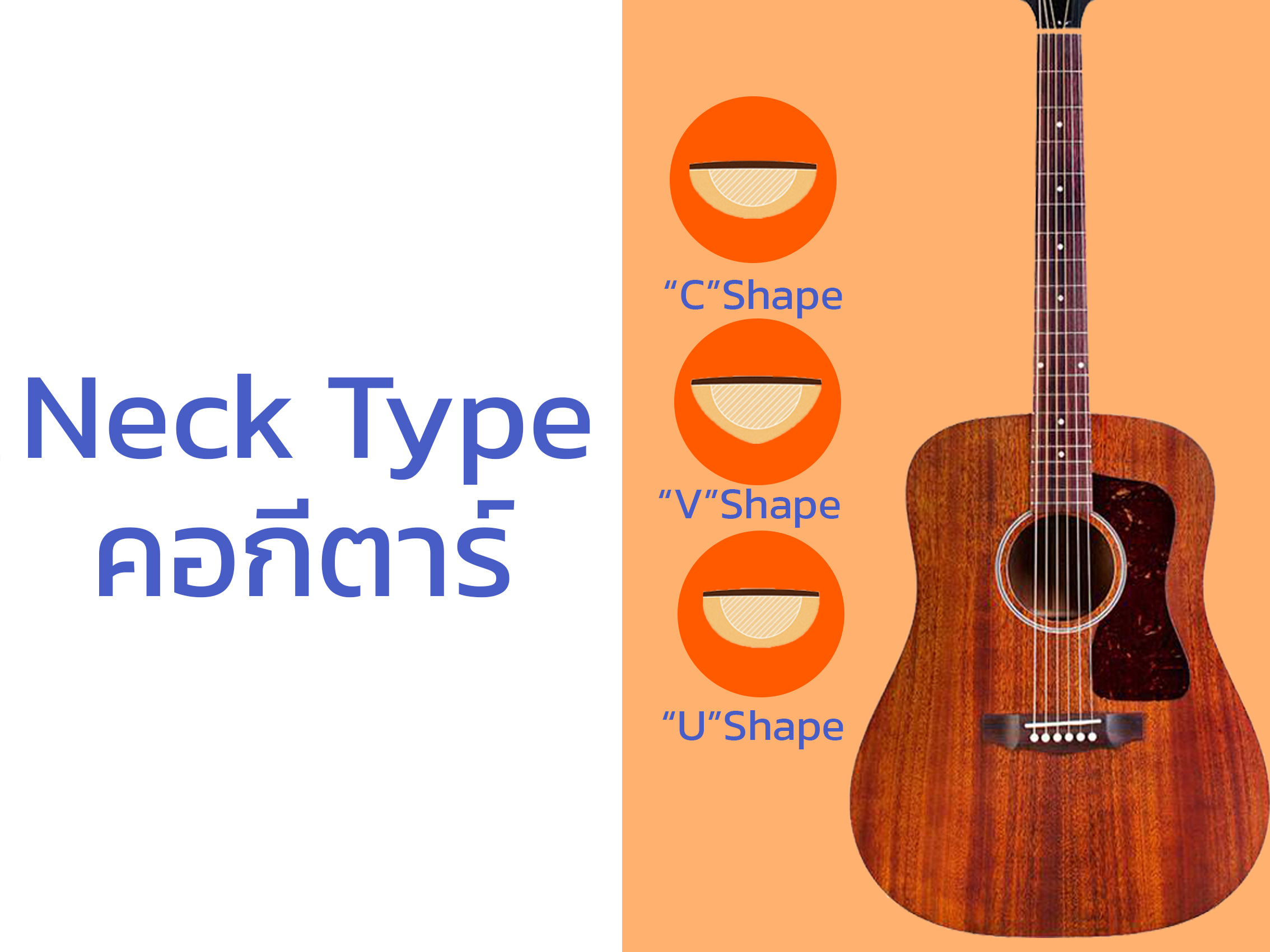 Neck Type คอกีตาร์มีแบบไหนบ้าง